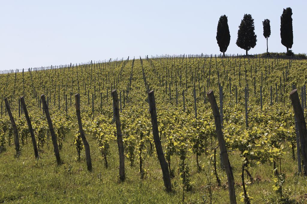 Le Buche Wine Resort&Spa Macciano エクステリア 写真