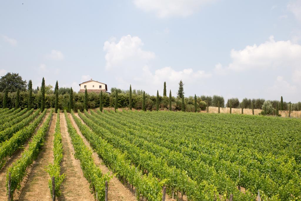 Le Buche Wine Resort&Spa Macciano エクステリア 写真