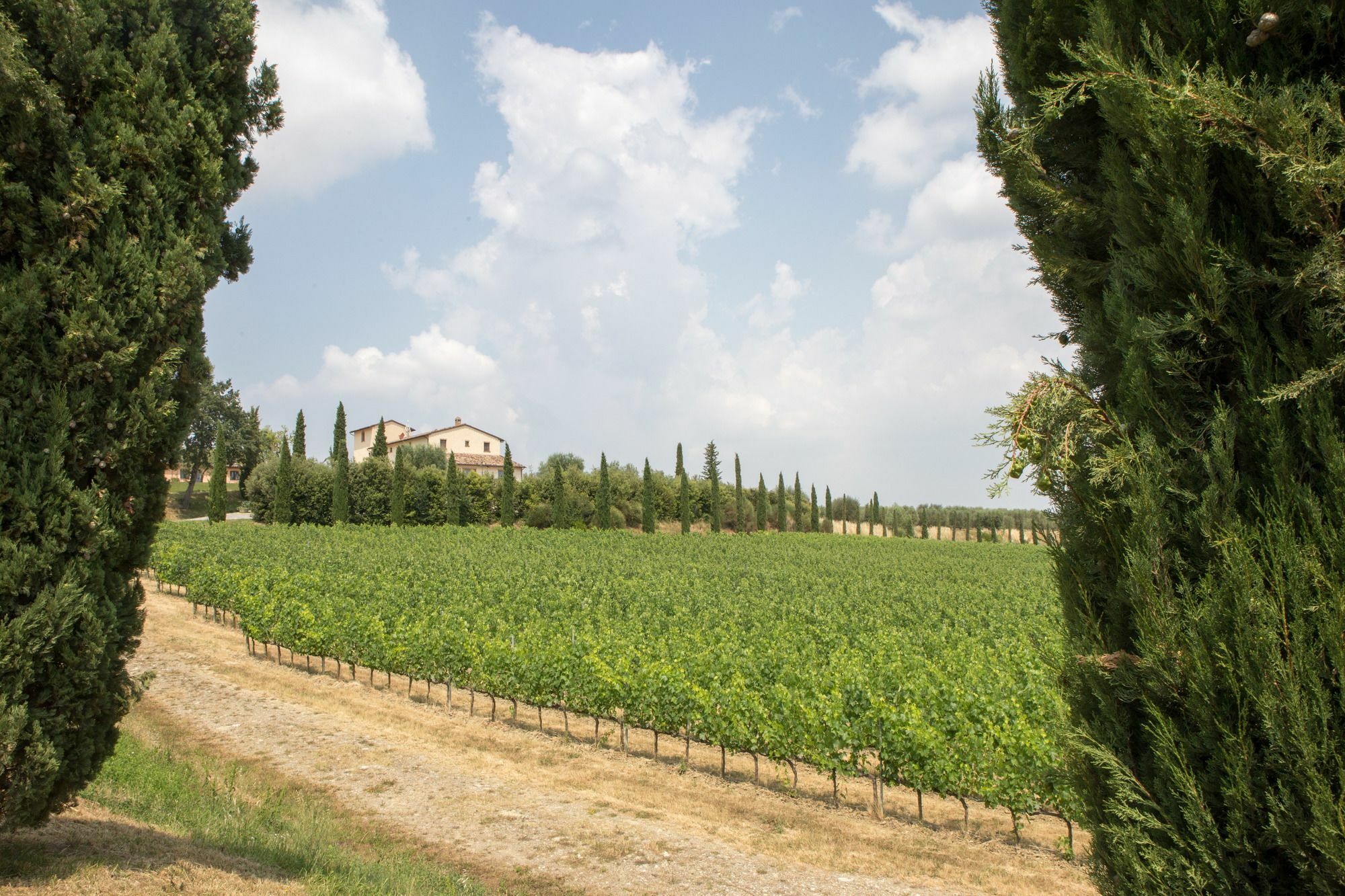 Le Buche Wine Resort&Spa Macciano エクステリア 写真
