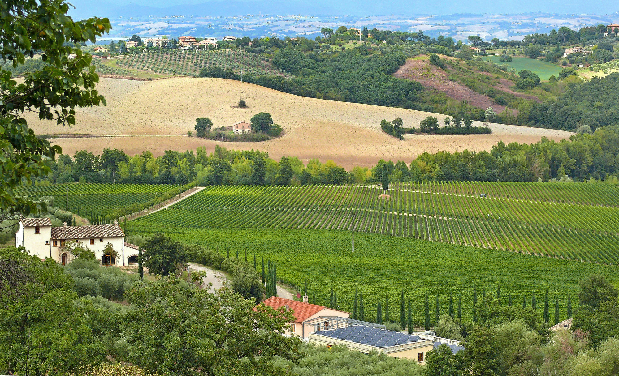 Le Buche Wine Resort&Spa Macciano エクステリア 写真